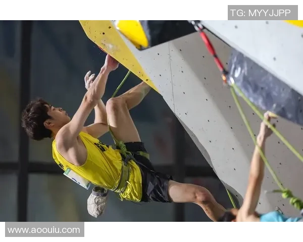 杭州攀岩队与深圳攀岩队速度对决赛后分析与总结